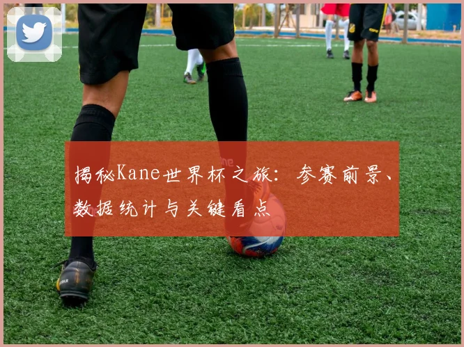 揭秘Kane世界杯之旅：参赛前景、数据统计与关键看点